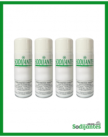 Lot de 4 bombes de peintures