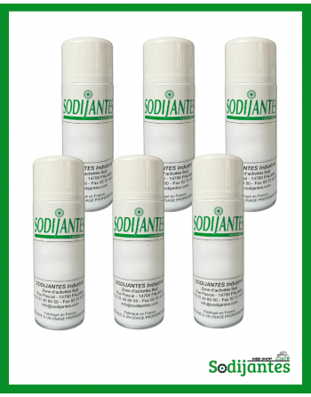 Lot de 6 bombes de peintures